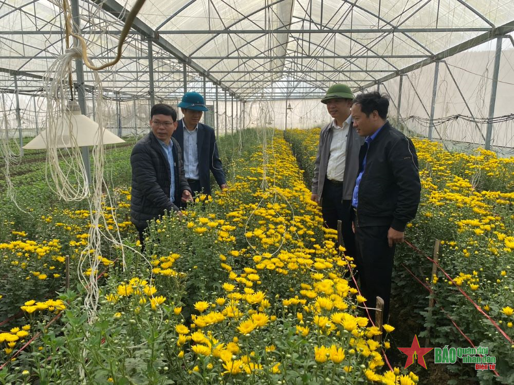 “Bà đỡ” cho các mô hình phát triển nông nghiệp ở Nghệ An